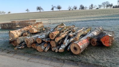 Gemeindeeigenes Holz zu verkaufen